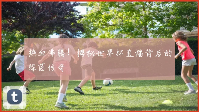 热血沸腾！揭秘世界杯直播背后的绿茵传奇