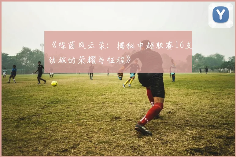 《绿茵风云录：揭秘中超联赛16支劲旅的荣耀与征程》