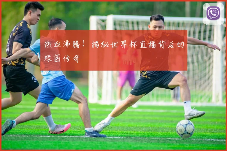 热血沸腾！揭秘世界杯直播背后的绿茵传奇